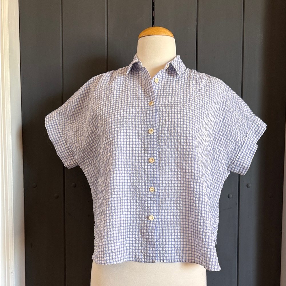 Madewell Blue and White Checkered Shirt